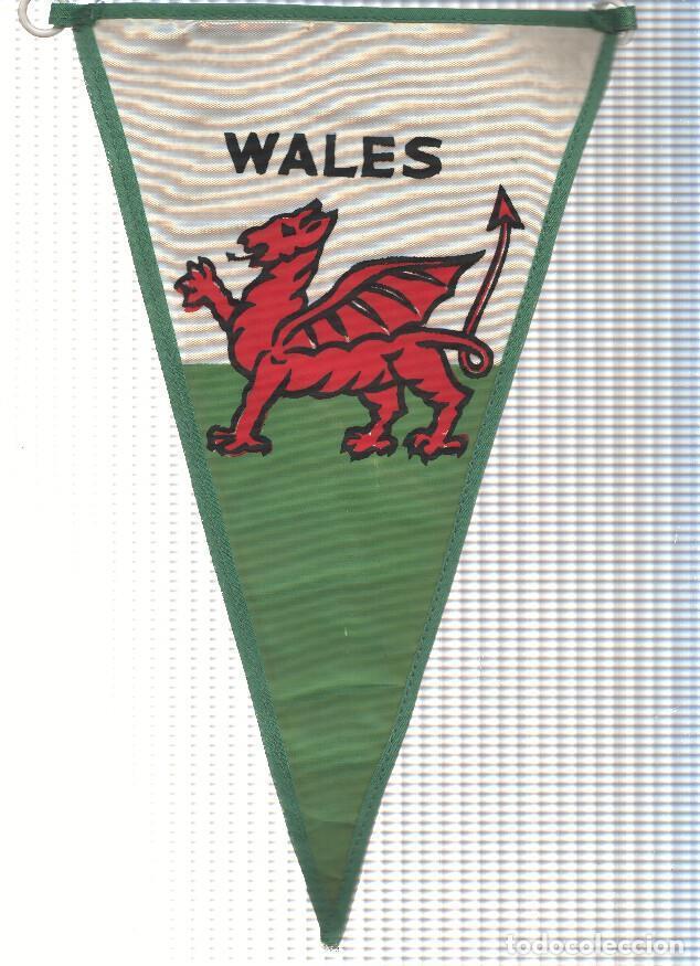Fanions de collection: BANDERIN: WALES / GALES - Bandera de Gales en Ambas caras iguales - VARIOS