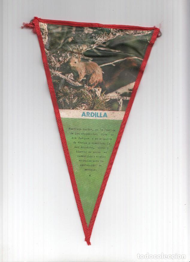 Fanions de collection: BANDERIN: ARDILLA - Foto de Ardilla y descripcion del animal. - VARIOS