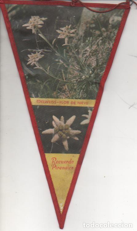Collection pennants: Banderin E00171: Banderin Edelweis- Flor deNieve