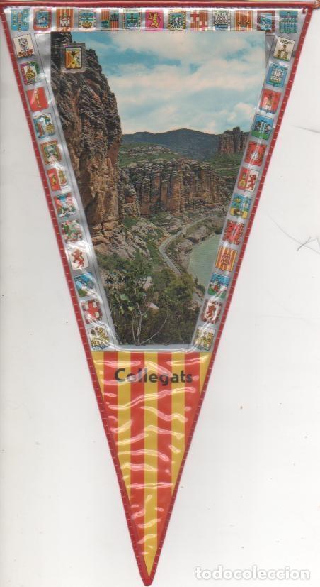 Sammlung von Wimpeln: Banderin E00045: Banderin congost Collegats