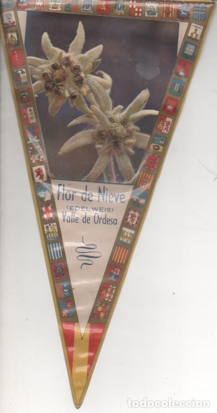 Sammlung von Wimpeln: Banderin E00107: Banderin Flor de Nieve,Valle de Ordesa