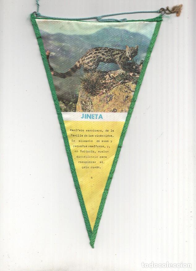 Fanions de collection: BANDERIN: JINETA - Banderin Explicativo sobre la jineta con foto y texto - VARIOS