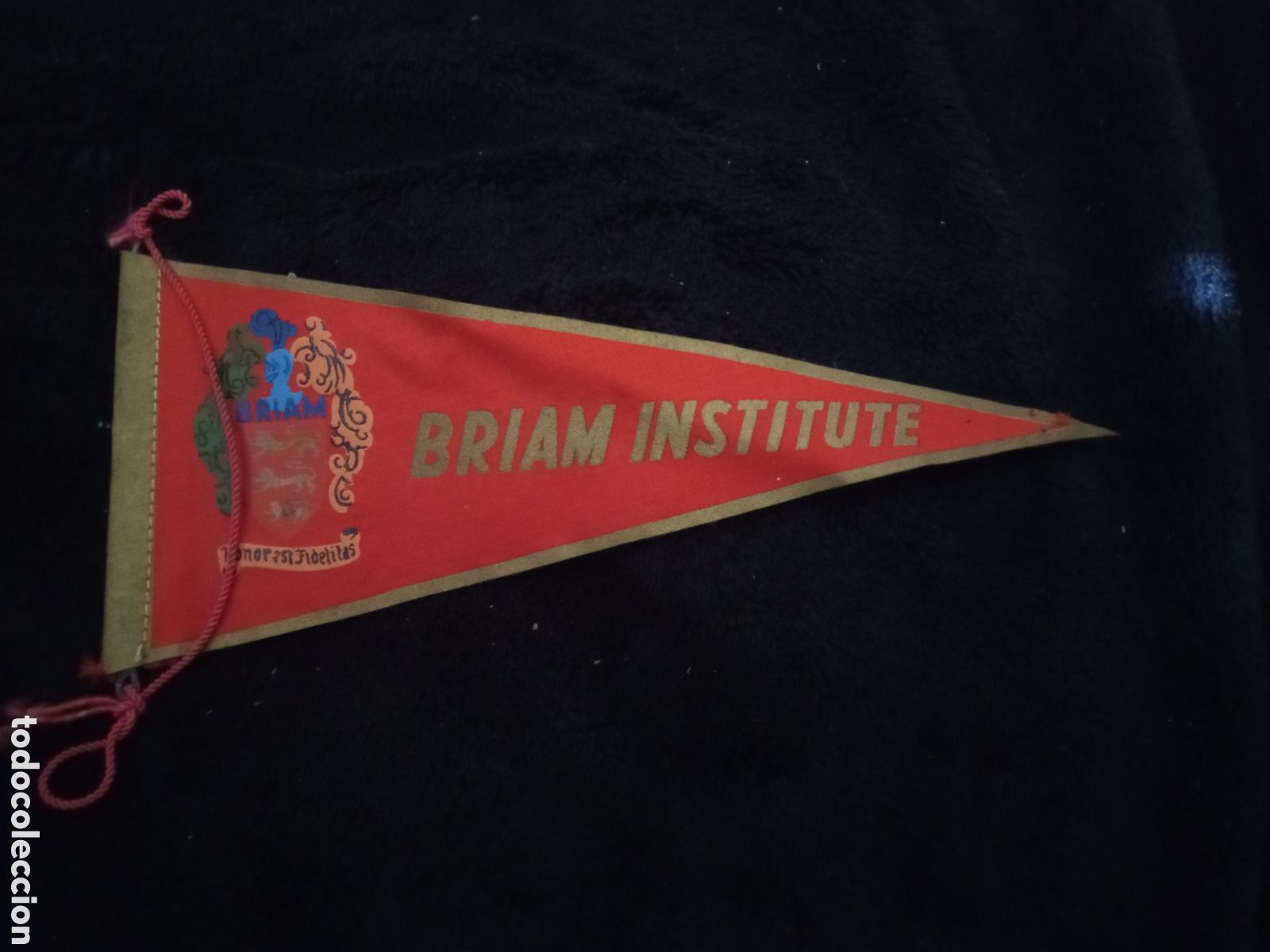 Banderines de colecci&oacute;n: Antiguo banderin, Brian Institute, 18,5 cm de altura