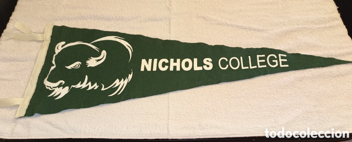 Banderines de colecci&oacute;n: Bander&iacute;n Nichols College USA