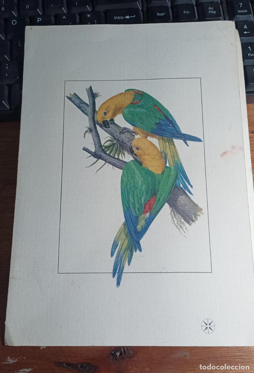 Collectionnisme Billets de transport: Antiguo men&uacute; de abordo empresa aerea Varig