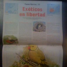 Coleccionismo de carteles: 'EXÓTICOS EN LIBERTAD'. PÓSTER DE REVISTA.
