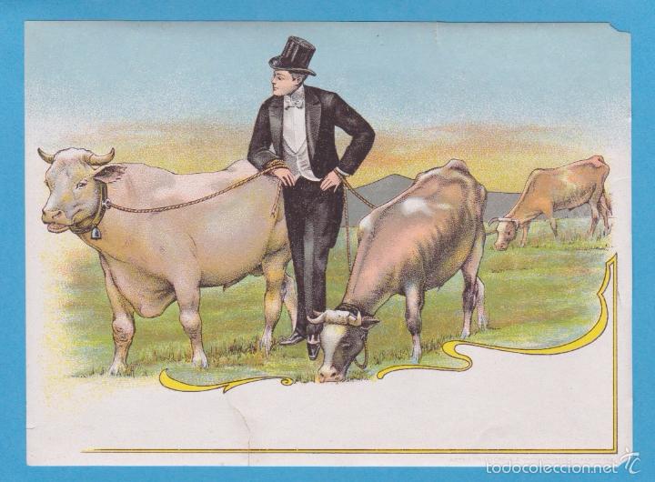Poster collecting: HOMBRE DE FRAC CON BUEY Y VACA. CARTELITO O ETIQUETA. REVERSO ENGOMADO. SIN M&Aacute;S DATOS