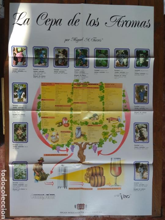 Coleccionismo de carteles: Poster Las Cepas de los Aromas - Foto 1
