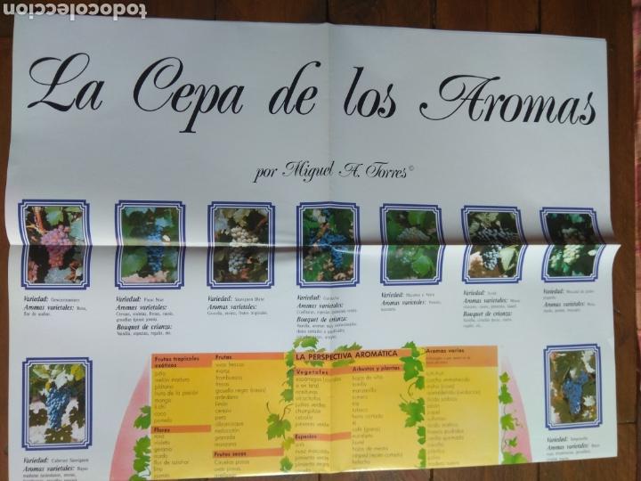 Coleccionismo de carteles: Poster Las Cepas de los Aromas - Foto 2