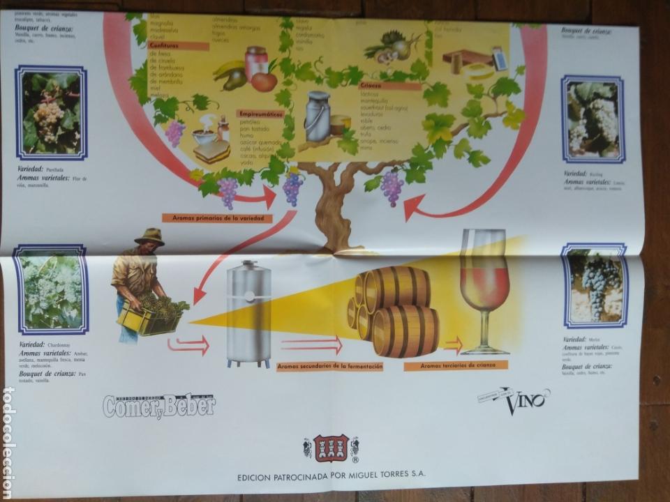 Coleccionismo de carteles: Poster Las Cepas de los Aromas - Foto 3