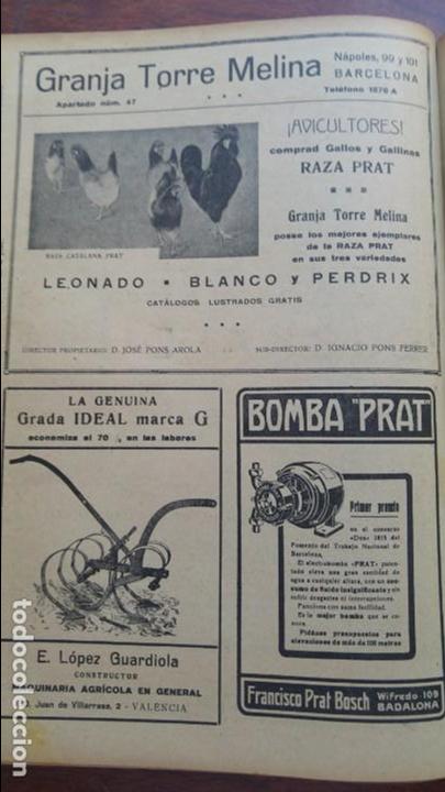 Coleccionismo de carteles: GRANJA TORRE MELINA GALLOS Y GALLINAS RAZA PRAT RAZAS LEONARDO,BLANCO Y PERDRIX HOJA A&Ntilde;O 1919
