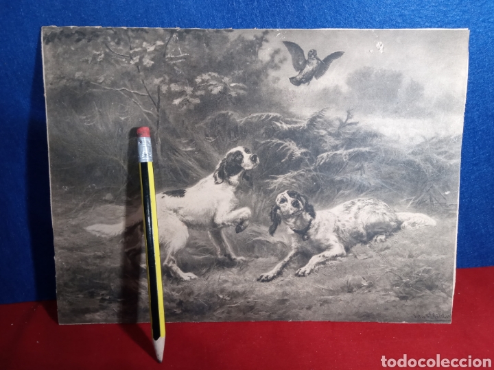 Coleccionismo de carteles: Perros litografia - Foto 1