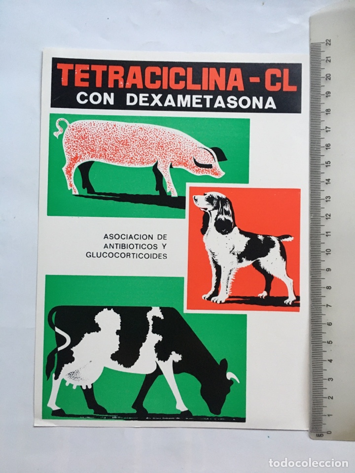 Poster collecting: TETRACICLINA-CL CON DEXAMETASONA. ANTIBI&Oacute;TICOS Y GLUCOCORTICOIDES. LABORATORIOS IVEN. MADRID.