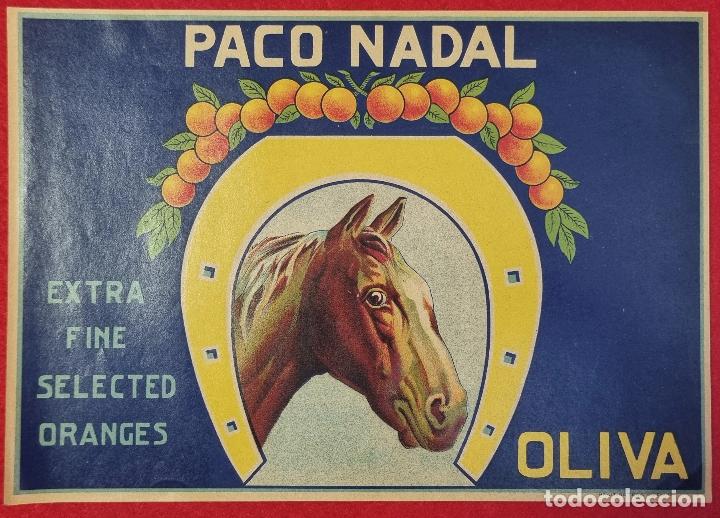 Coleccionismo de carteles: CARTEL ITO ETIQUETA NARANJAS PACO NADAL CABALLO HERRADURA OLIVA VALENCIA ORIGINAL K4