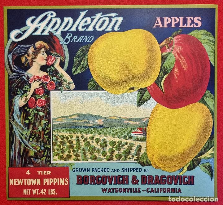 Poster collecting: CARTEL ITO ETIQUETA USA MANZANAS APPLES APPLETON APPLES CAFIFORNIA ORIGINAL K11