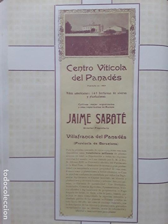 Colecionismo de cartazes: CENTRO VITICOLA DEL PANADES JAIME SABATE VILLAFRANCA DEL PANADES BARCELONA HOJA A&Ntilde;O 1913