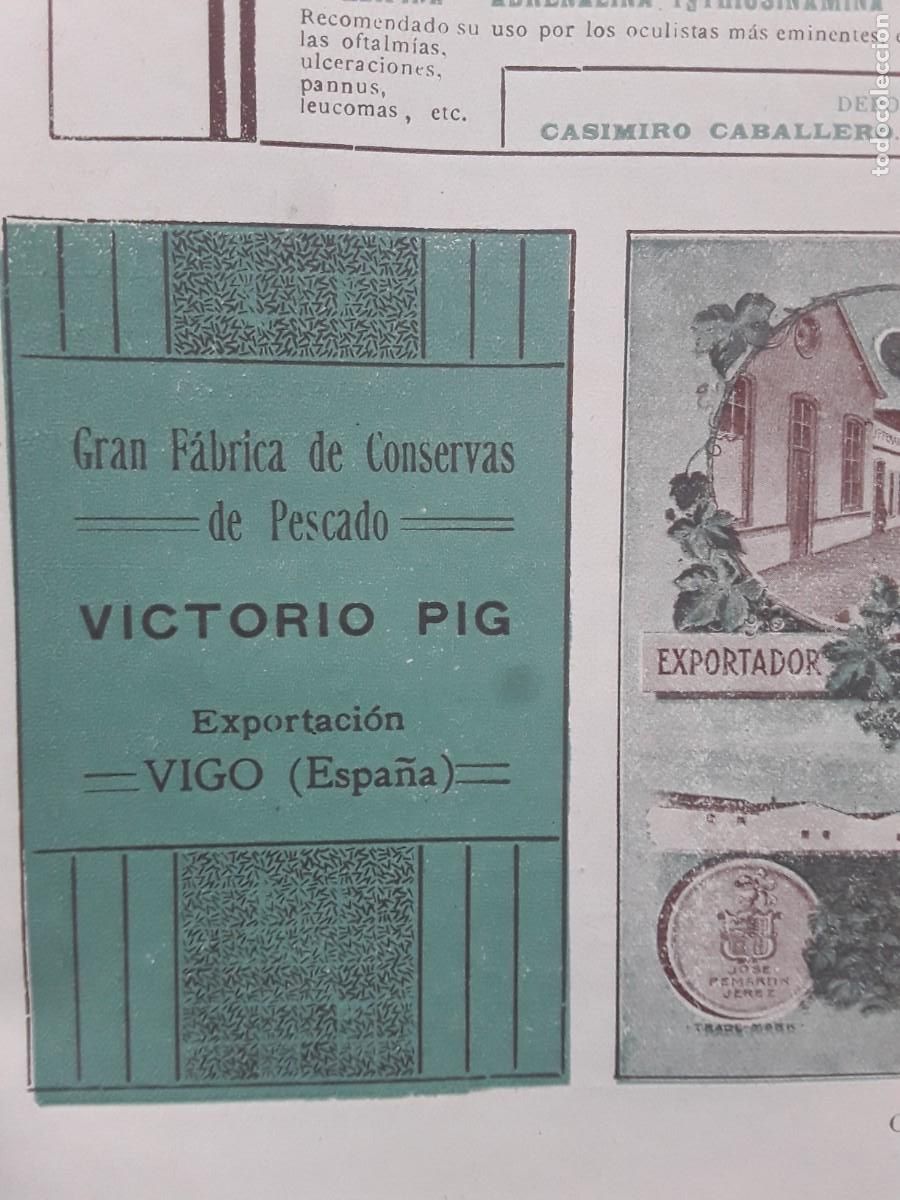 Collectionnisme d'affiches: GRAN FABRICA DE CONSERVAS DE PESCADO VICTORIO PIG VIGO HOJA A&Ntilde;O 1913