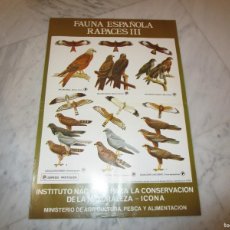 Coleccionismo de carteles: FAUNA ESPAÑOLA. AVES RAPACES (III). Lote 371529501