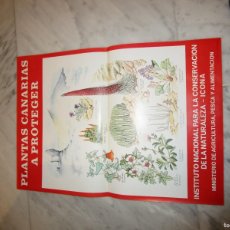 Coleccionismo de carteles: PLANTAS CANARIAS A PROTEGER