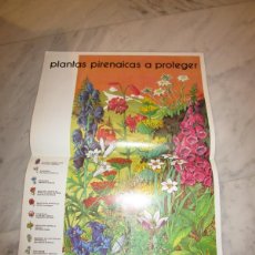 Coleccionismo de carteles: PLANTAS PIRENAICAS A PROTEGER
