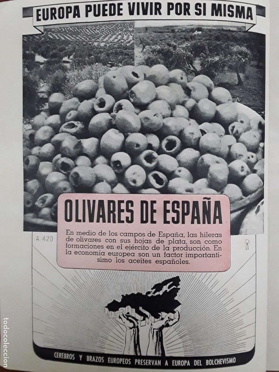 Colecionismo de cartazes: OLIVARES DE ESPA&Ntilde;A CEREBROS Y BRAZOS EUROPEOS PRESERVAN A EUROPA DEL BLOCHEVISMO HOJA A&Ntilde;O 1943