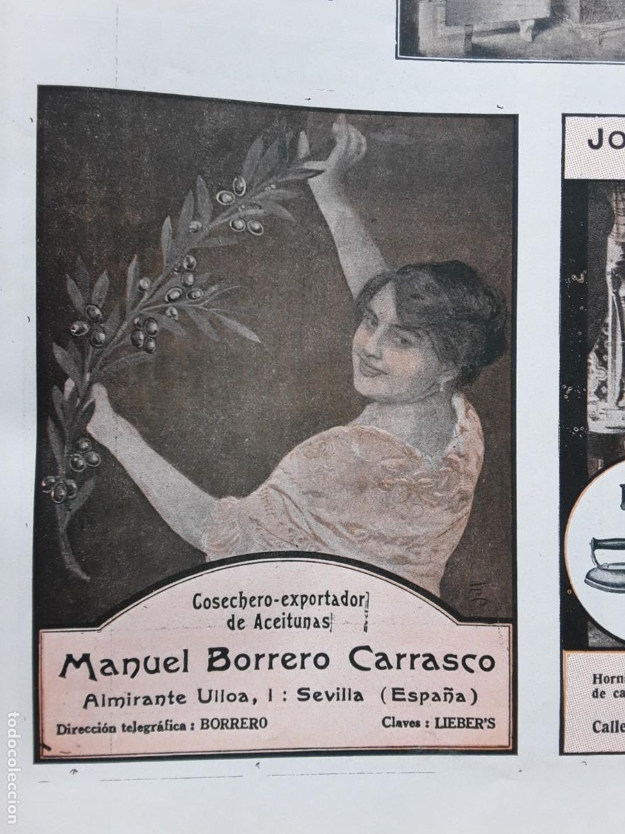Poster collecting: MANUEL BORRERO CARASCO COSECHERO EXPORTADOR ACEITUNAS SEVILLA HOJA A&Ntilde;O 1920