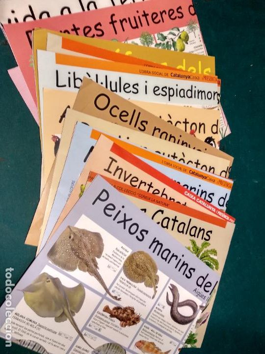 Coleccionismo de carteles: 14 POSTER PA&Iuml;SOS CATALANS (PEIXOS-HORTALISSES-INVERTEBRATS-MOL&middot;LUSCS-PLANTES-BESTIAR-OCELLS-AVIRAM..