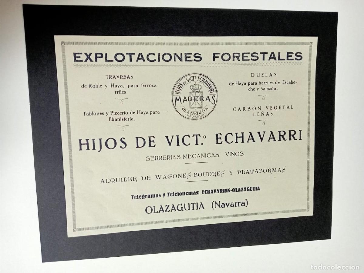 Sammeln von Plakaten: OLAZAGUTIA (NAVARRA) - HIJOS DE VICT&ordm;. ECHAVARRI - PUBLICIDAD ORIGINAL 1928 / VIDA VASCA
