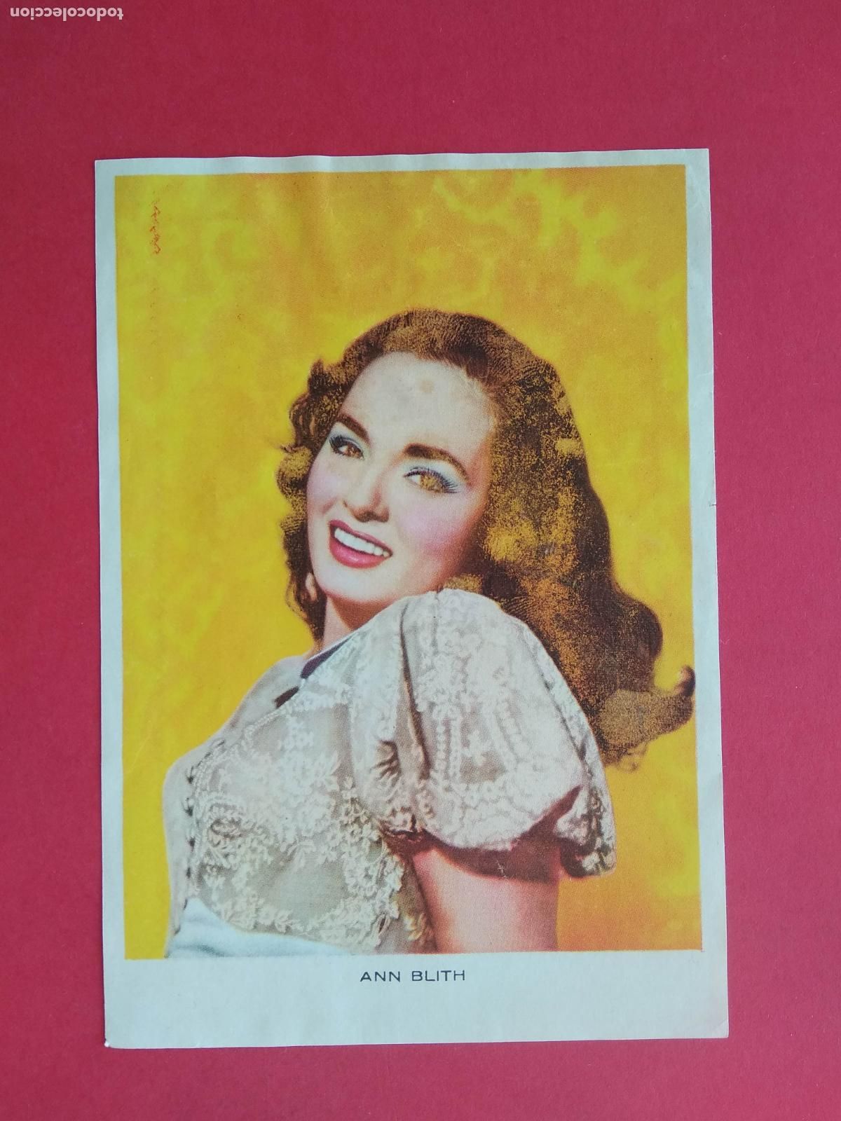 Collectionnisme d'affiches: FOLLETO DE MANO PROGRAMA PROSPECTO DE CINE PELICULA ACTOR / ACTRIZ , ANN BLITH