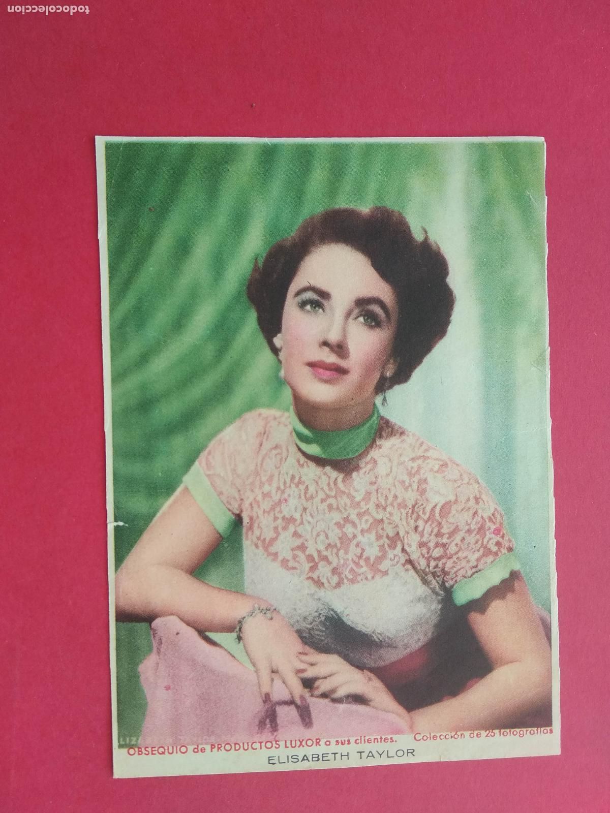 Collectionnisme d'affiches: FOLLETO DE MANO PROGRAMA PROSPECTO DE CINE PELICULA ACTOR / ACTRIZ , ELISABETH TAYLOR
