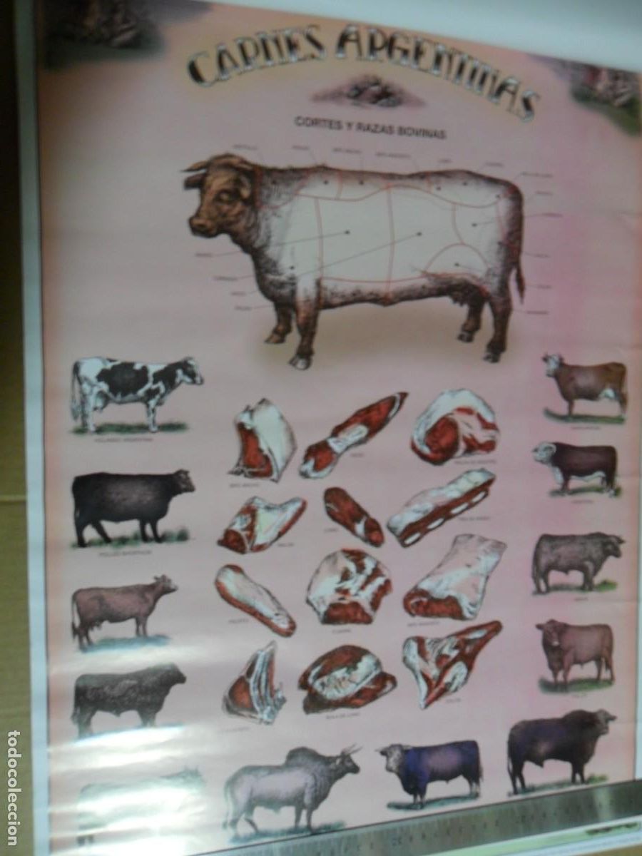 Coleccionismo de carteles: CARTEL CARNES ARGENTINAS - Foto 1