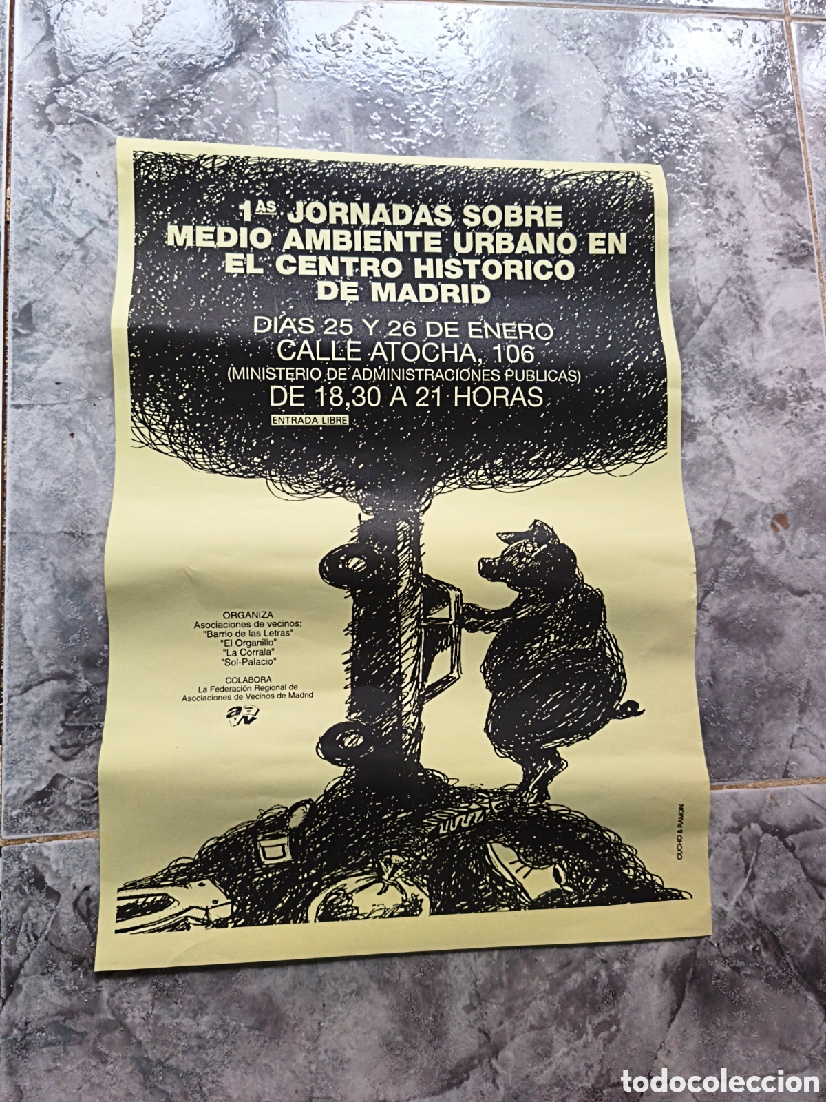 Collezionismo di affissi: Poster Jornadas sobre medioambiente
