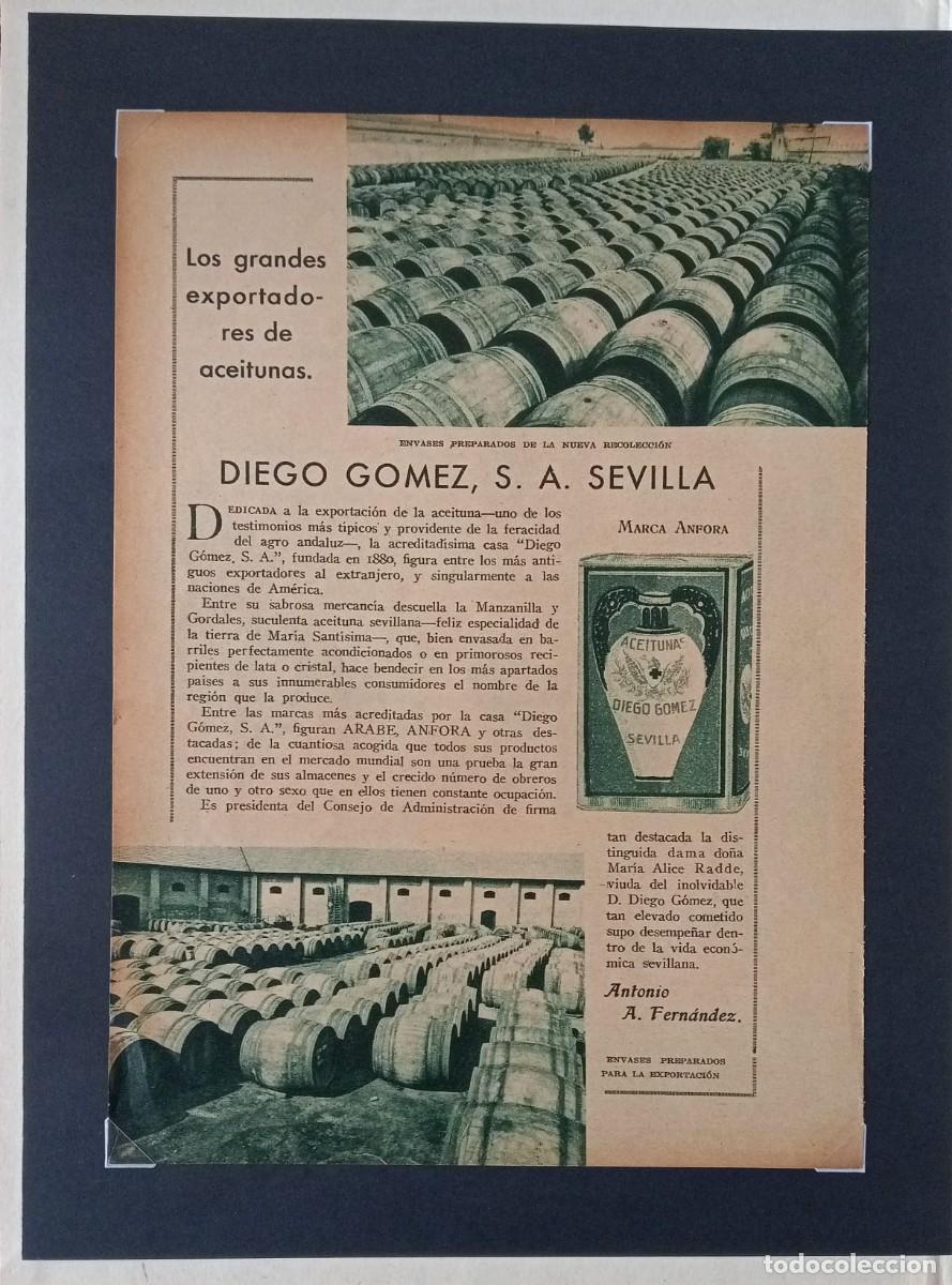 Colecionismo de cartazes: SEVILLA - DIEGO GOMEZ, EXPORTADOR - PUBLICIDAD ORIGINAL 1932 - BLANCO Y NEGRO / 24 x 17 Cm.