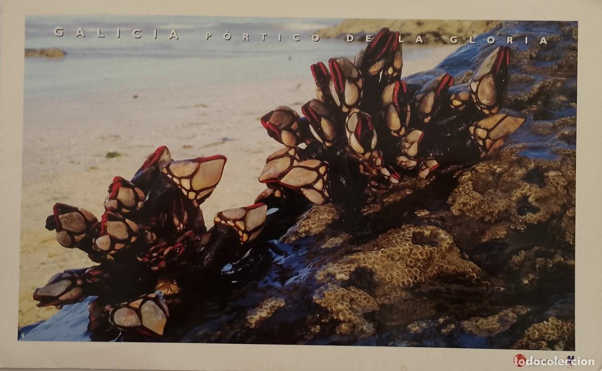 Coleccionismo de carteles: TARJETA POSTAL CIRCULADA DE GALICIA PORTICO D LA GLORIA CON SUS PERCEBES