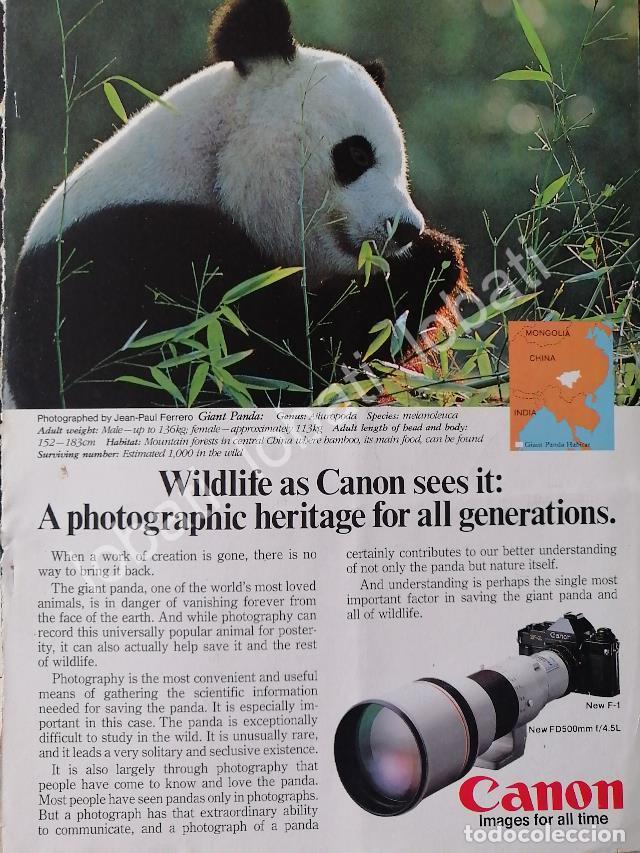 Poster collecting: CARTEL ANTIGUO ORIGINAL DE CAMARAS FOTOGRAFICAS CANON F-1 1978 /508