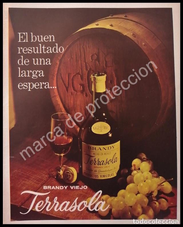Poster collecting: CARTEL ANTIGUO ORIGINAL DE BRANDY TERRASOLA 1962