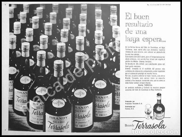 Poster collecting: CARTEL ANTIGUO ORIGINAL DE BRANDY TERRASOLA 1962 -2 / RARO