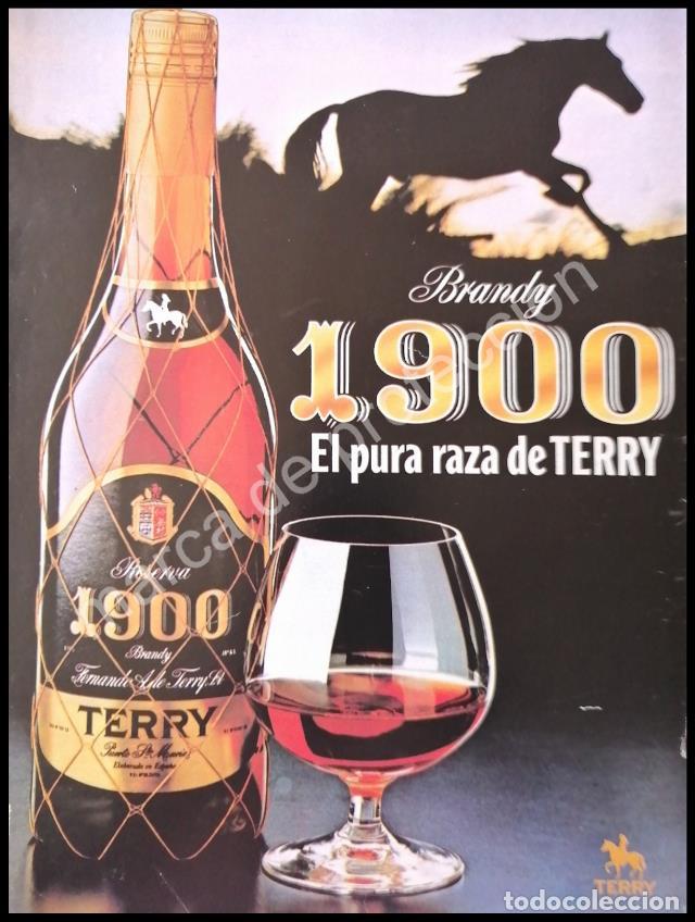 Poster collecting: CARTEL ANTIGUO ORIGINAL DE BRANDY 1900 TERRY 1980s /3