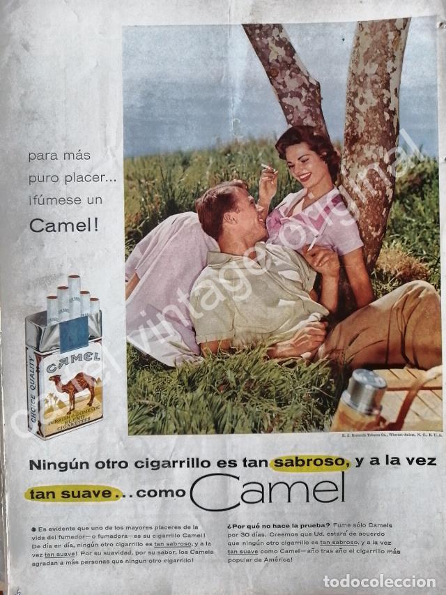 Collezionismo di affissi: CARTEL ANTIGUO ORIGINAL DE CIGARROS CAMEL 1950s / 10