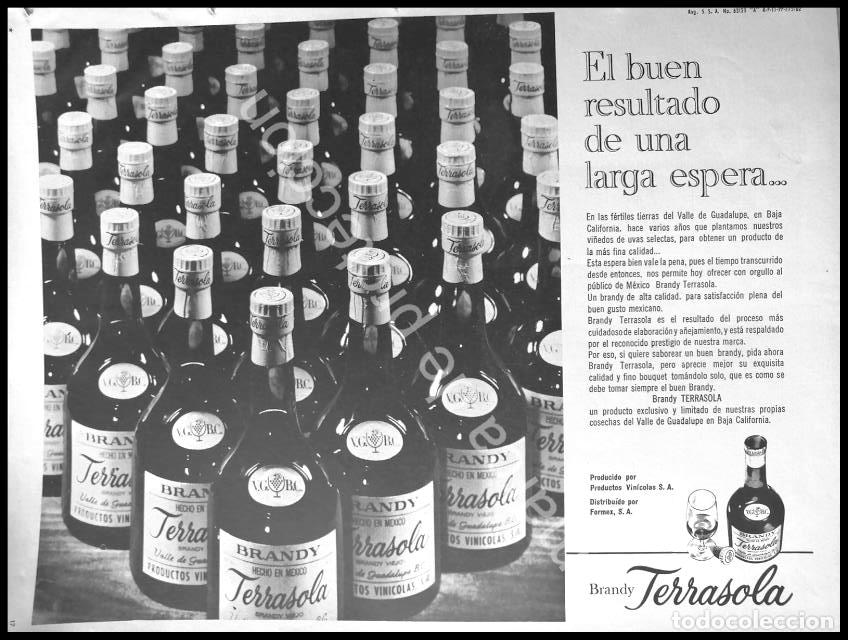 Poster collecting: CARTEL ANTIGUO ORIGINAL DE BRANDY TERRASOLA 1967 / RARO
