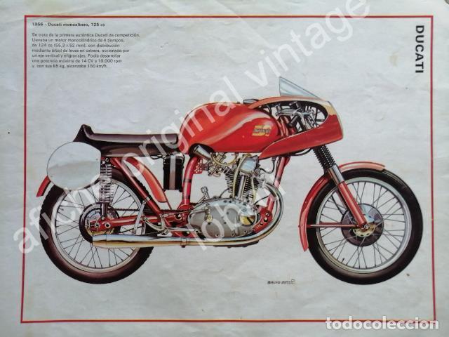 Poster collecting: CARTEL ANTIGUO ORIGINAL DE MOTOCICLETA DUCATI MONOALBERO 1956 DIBUJO BRUNO BELLI