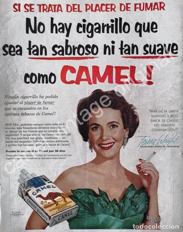 Poster collecting: CARTEL ANTIGUO ORIGINAL DE TERESA WHRIGHT Y CIGARROS CAMEL 1954 FEP