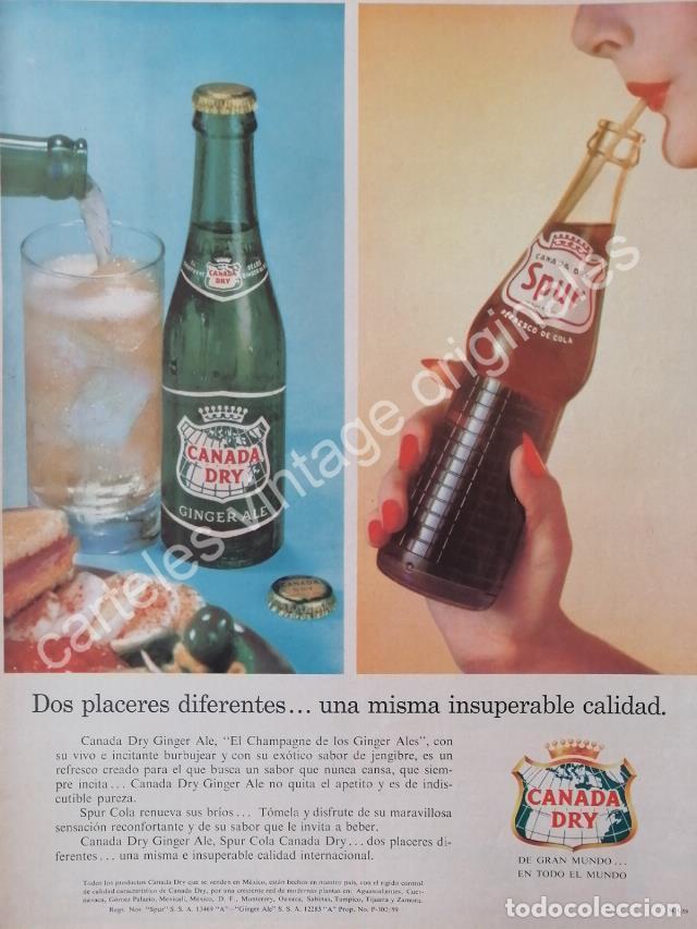 Poster collecting: CARTEL ANTIGUO ORIGINAL DE REFRESCO CANADA DRY. SPUR Y GINGER ALE 1959