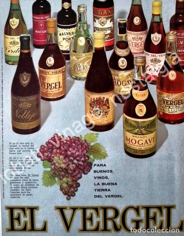Poster collecting: CARTEL ANTIGUO ORIGINAL DE BRANDY VIEJO VERGEL. DIC 1968
