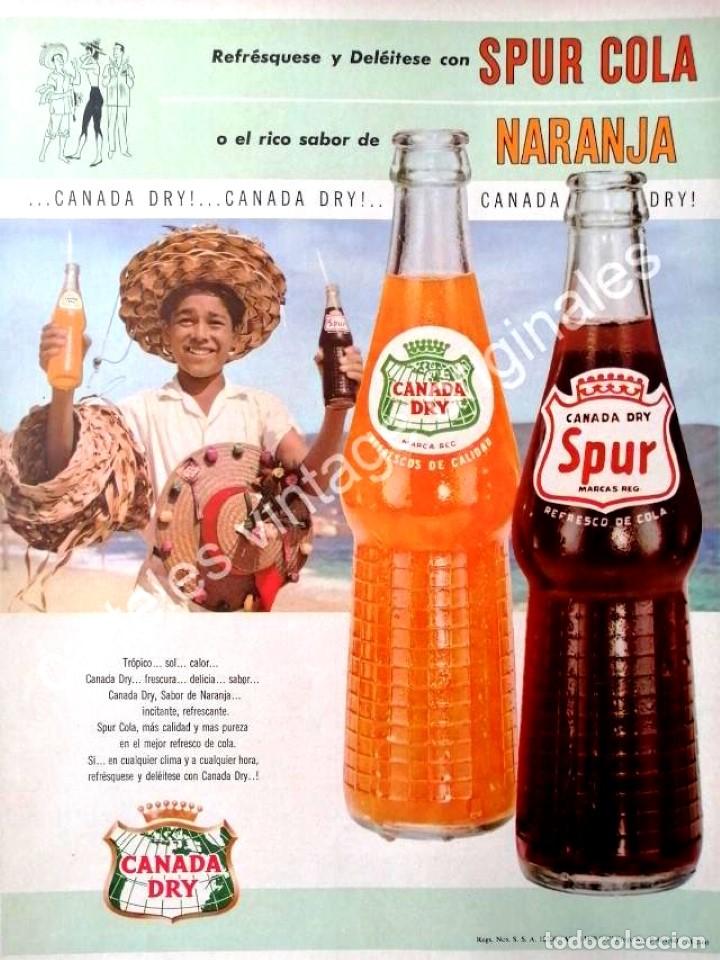 Sammeln von Plakaten: CARTEL ANTIGUO ORIGINAL DE REFRESCO CANADA DRY. SPUR Y NARANJA