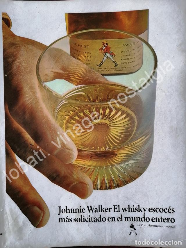 Collectionnisme d'affiches: CARTEL ANTIGUO ORIGINAL DE WHISKY JOHNNIE WALKER 1965