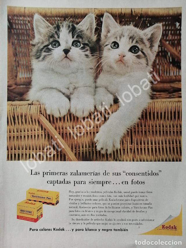 Collectionnisme d'affiches: CARTEL ANTIGUO ORIGINAL DE ROLLOS & PELICULAS KODAK 1950s /549