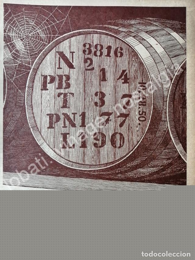 Poster collecting: CARTEL ANTIGUO ORIGINAL DE RON BACARDI 1955 -17