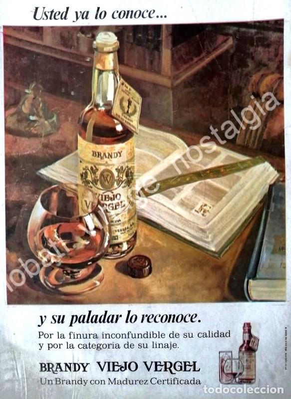 Poster collecting: CARTEL ANTIGUO ORIGINAL DE BRANDY VIEJO VERGEL 1970 USTED YA LO CONOCE