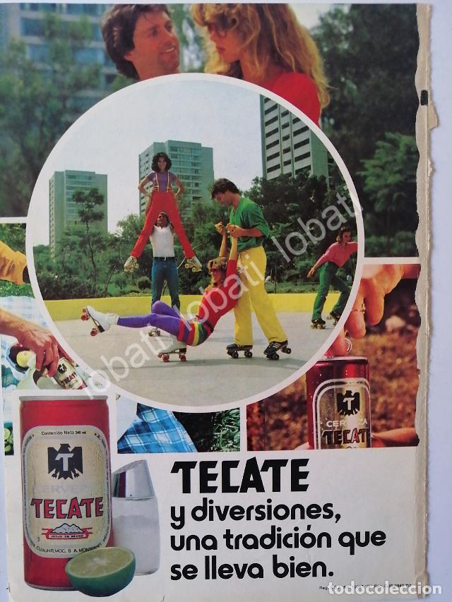 Sammeln von Plakaten: CARTEL ANTIGUO ORIGINAL DE CERVEZA TECATE 1981 / MINI CARTEL /11